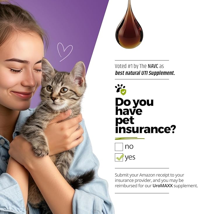 UroMAXX, Cat & Dog Urinary Tract Treatment, Bladder & Kidney Support for Dogs and Cats, Powerful Yet Gentle Pet Care, with Liquid Cranberry & Glucosamine, Salmon Flavor, 6 oz Bottle, 2 Pack
