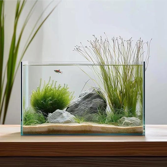 Vimvins 5 Gallon Glass Fish Tank, Easy to Maintain Small Aquarium for Betta/Goldfish/Snails/Shrimp and Aquatic Planting.