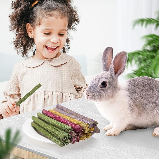 Rabbit Chew Toys for Teeth, Timothy Grass Carrot Sticks for Guinea Pig Hamster Chinchilla Squirrel Bunny Small Rodent Animals (40 pcs)