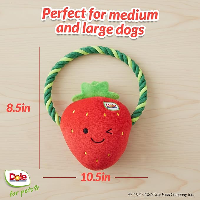 Dog Rope Toy with Squeakers, Strawberry Tug of War Dog Toy, Tough Cotton Rope Toys for Dogs, Aggressive Chew Toys for Medium Dogs