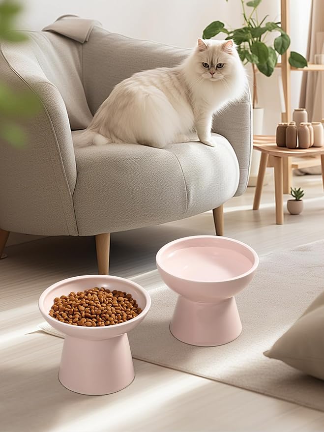 LoeJan Elevated Cat Food and Water Bowls Set, Extra Wide and Raised Ceramic Feeder, Anti-Vomit Whisker-Free Pressure Feeding Bowl for Kittens Adult Cats Small Dogs (Pink, Bowl Set)