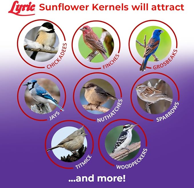 Lyric Sunflower Kernels Wild Bird Seed for Outside Feeders, No Waste Bird Food, Attracts Finches and More, 25 lb Bag