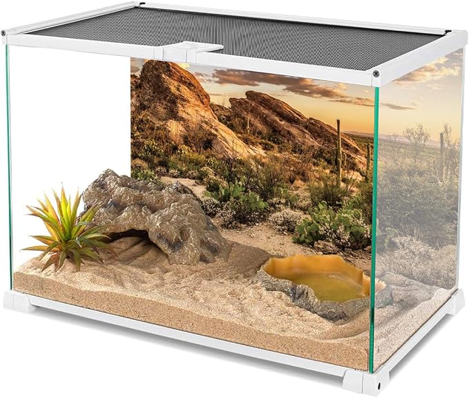 AWERT Reptile Habitat Background Blue Sky Oasis Cactus Sun and Desert Terrarium Background 36x18 inches Durable Polyester Background