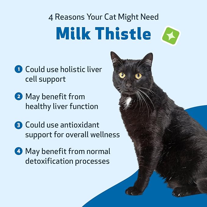 Pet Wellbeing Milk Thistle for Cats - Organic Herb, Milk Thistle Liver Detox Support, Antioxidants - NASC Certified & Vet-Formulated - 4 oz Liquid