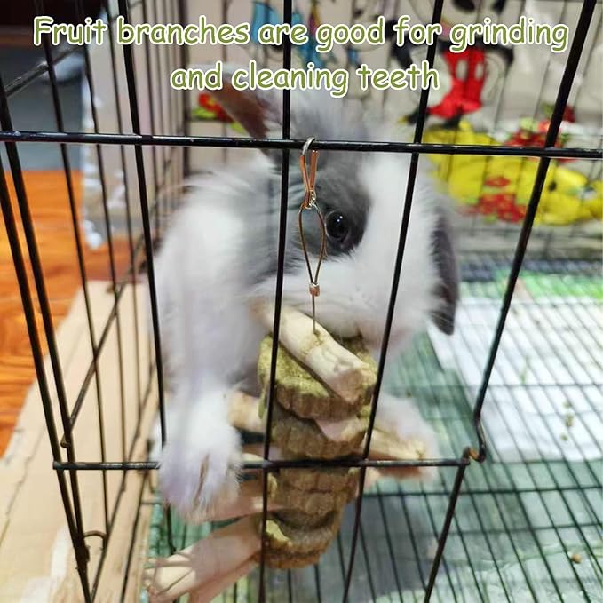 kathson 2 PCS Bunny Chew Toys for Teeth Natural Rabbit Toys Hanging Sweet Bamboo Chews with Grass Cake Guinea Pig Toys Snack Treat for Hamster Chinchilla Rats