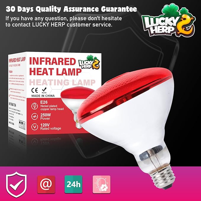 LUCKY HERP Infrared Heat Lamp for Chickens, 250 Watt Red Heat Lamp Bulb, 2 Pack Heat Light Bulb, Brooder Heat Lamp for Chicks Coop, Reptiles, Amphibian, Pet, Food Service