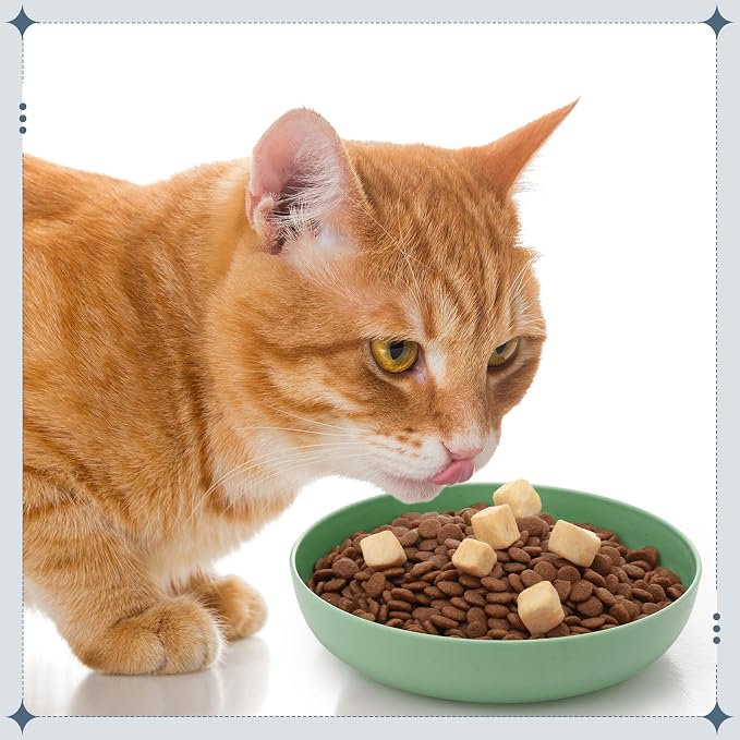 Tioncy 24 Pcs Cat Food Bowl 5.5'' Fatigue Relief Shallow Cat Food Dish Wide and Small Pet Wet Plate Wide Stray Wet Feeding Bowl for Ferrets Feral Short Legged Kitten, Wheat Straw(Blue,Green,Classic)