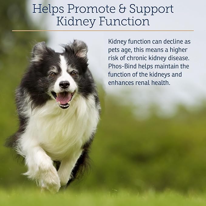 Rx Vitamins Phos-Bind - Kidney Support Supplement Powder - Phosphate Binder for Cats & Dogs for Kidney Health - Supports Normal Kidney Cleanse and Essential Kidney Care - 35g