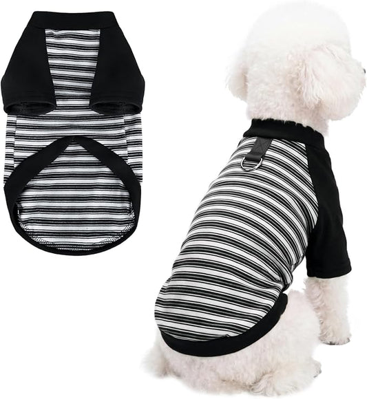Pistha Dog Tshirt Striped Shirts for Dogs Clothes Stretchy Puppy T-Shirts with Metal Buckle for Small Medium Dog Boys Girls (Black, XX-Large)
