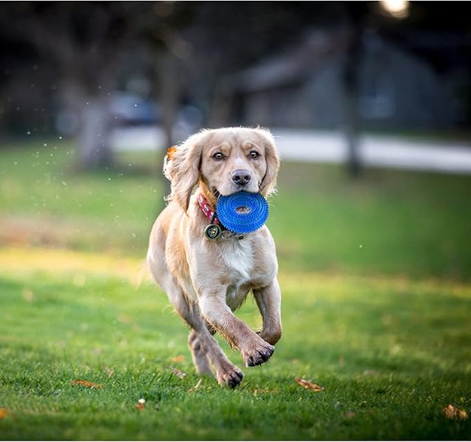 Andiker Squeaky Dog Toy, Safe TPR Chewable Dog Toys for Teeth Grinding&Cleaning Dog Fetch Toys for Enhancing Interactivity Outdoor Suitable for All Dog Sizes Puppy’s Gifts and Dog Lovers (Large)