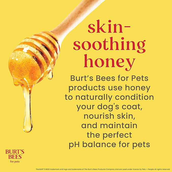Burt's Bees for Pets Itch Soothing Dog Shampoo with Honeysuckle, 95% Natural Origin, pH Balanced, No Sulfates, Parabens, or Phthalates, Relieves Itchy Skin, 32 Fl Oz - 2 Pack