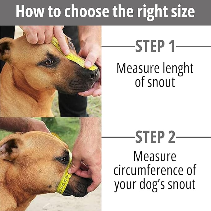 BRONZEDOG Pitbull Dog Muzzle Breathable Metal Basket for Large Dogs Amstaff Staffordshire Terrier Biting Chewing Barking (Leather, Blue)