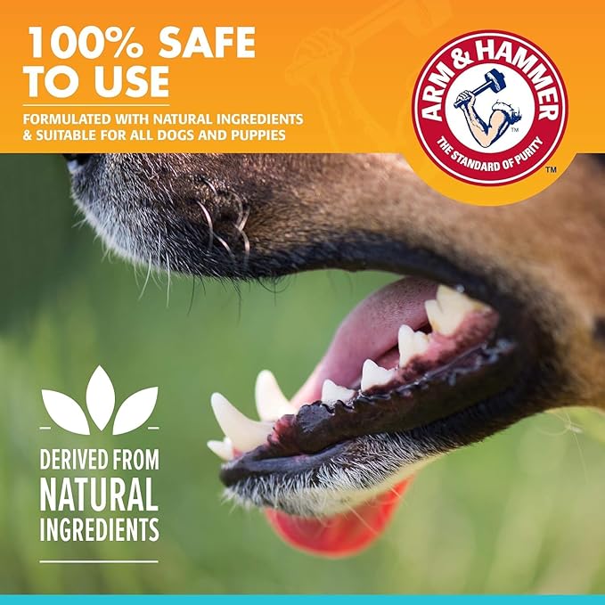 Arm & Hammer for Pets Dog Oral Care Spray, Mint Flavor Breath Freshener with Baking Soda for Brushless Plaque and Tartar Support, Easy Daily Dental Maintenance for Adult Dogs, 4 Fl Oz - 2 Pack