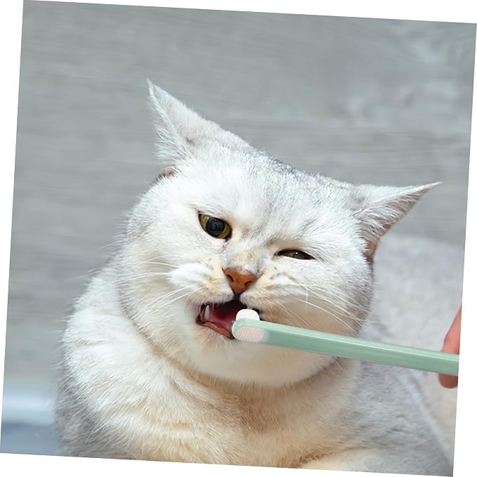3pcs Soft Bristle PET Toothbrush Set for Dogs Cats and Rabbits Micro Head Oral Care for Small Breeds Gentle Tooth Cleaning Supplies