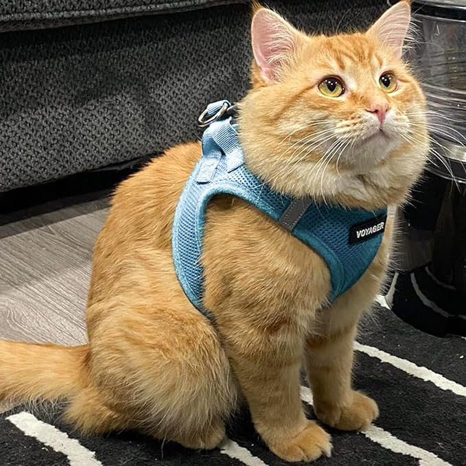Best Pet Supplies Voyager Step-in Air Harness - All Weather Mesh, Reflective, No Pull Harness for Dogs, Cats - Secure with Hook & Loop Fastener, Buckle, Double D-Rings - Baby Blue, S