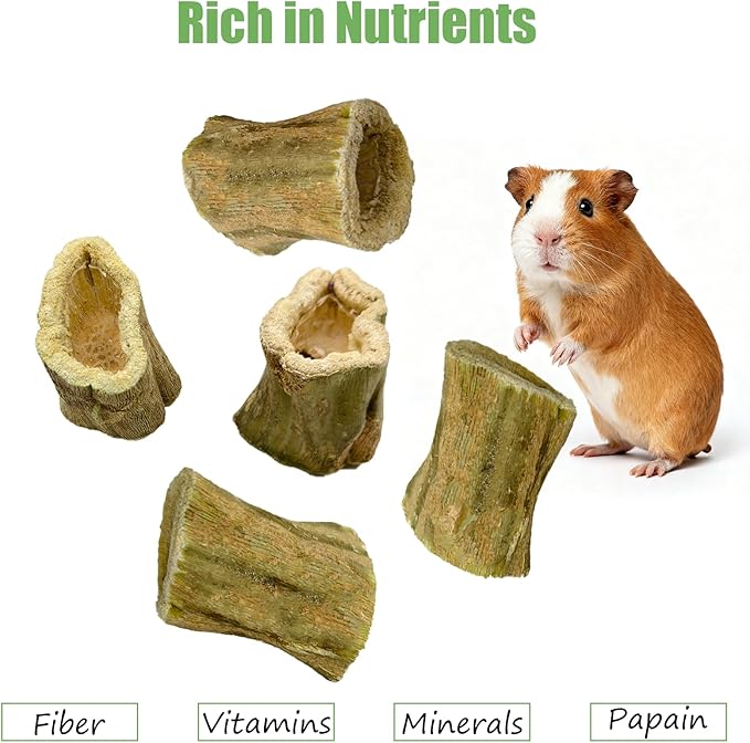 100G Rabbit Chew Toys Guinea Pig Treats Natural Papaya Wood Chew Sticks for Teeth Bunny Guinea Pig Hamster Chinchilla