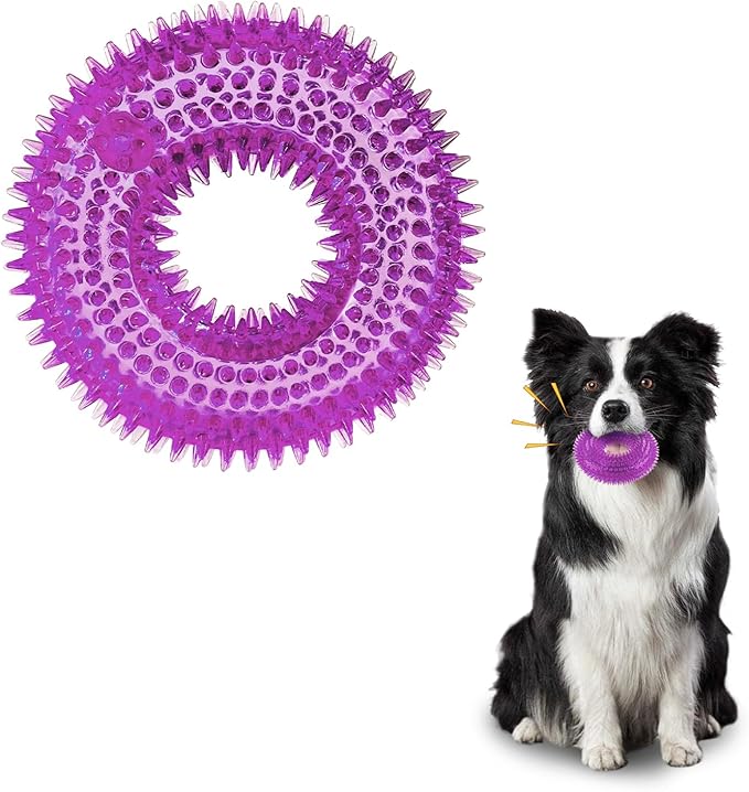 Andiker Squeaky Dog Toy, Safe TPR Chewable Dog Toys for Teeth Grinding&Cleaning Dog Fetch Toys for Enhancing Interactivity Outdoor Suitable for All Dog Sizes Puppy’s and Dogs (Large Purple)