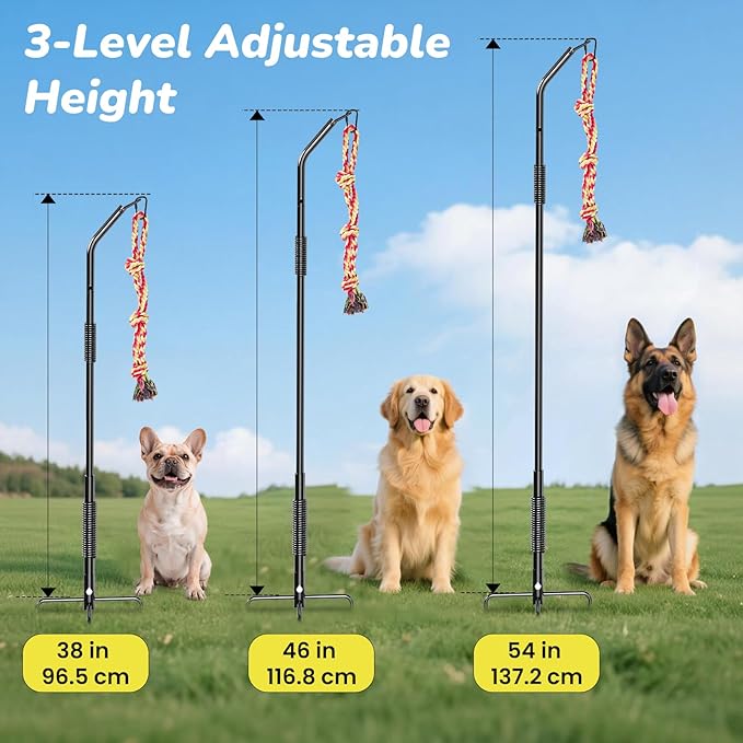 360° Rotation Tether Outdoor Dog Rope Toy, Exercise Tug Of War Dog Toy in Yard/Park/Lawn, Dog Training 3 Rope Toys, 2 Strengthen Spring Poles, Self Play and Interactive Toy for Large Medium Small Dog