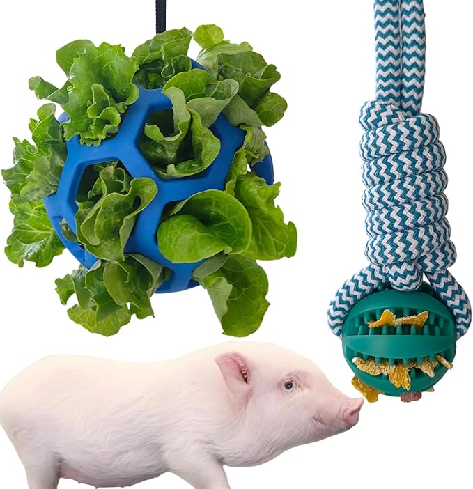 2PCS Pig Enrichment Toys, Mini Pig Supplies, Hanging Chew Ball with Rope + Replaceable Feeder Foraging Ball, Interactive Pig Enrichment Toy Set for Pigs, Treat Dispensing & Chew Activity Toy