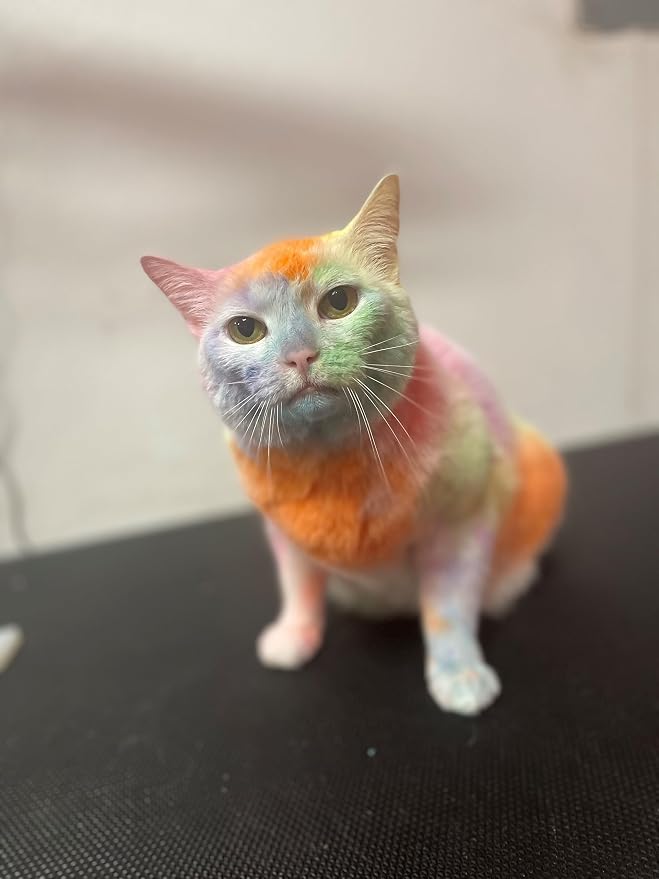 Crazy Liberty Magic Color Shampoos (Orange). Semi-Permanent Pet Hair Coloring Shampoo, Safe and Gentle Ammonia and Paraben Free Hair Dye Shampoo, Non-Toxic Coloring Shampoo for All Pets Can be Bathed.