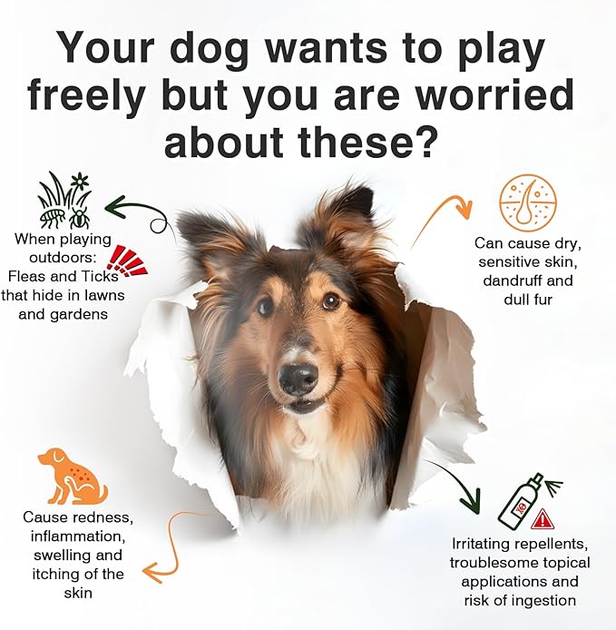 Dog Flea and Tick Prevention Allergy Chews - Omega 3 Skin and Coat Supplement,Immune Support,Natural Yeast,Itching & Licking Relief Treatment Chewable,Bites,Chews for Dogs Itching-200 Count