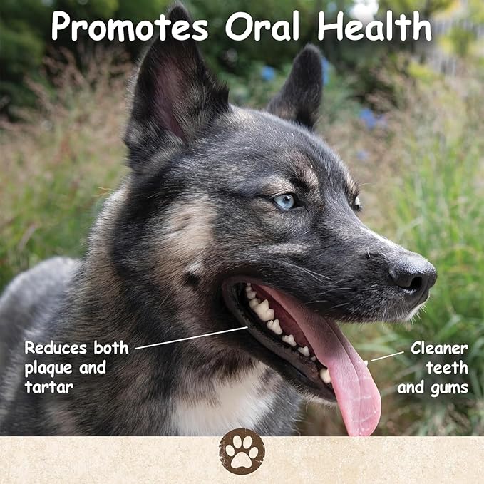Top Dog Chews – Pig Ears for Dogs, 15 Pack, Single Ingredient, Long Lasting, Thick, Large Dog Treat for Small, Medium or Large Breeds
