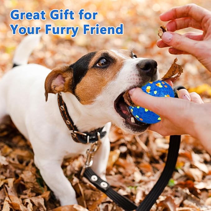 Dog Ball Toys Dog Tennis Ball for Aggressive Chewers Indestructible Bouncy Lightweight Water Toy Fetch Ball for Large Medium and Small Dog