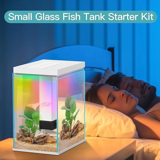 2 Gallon Glass Betta Fish Tank with Heater Filter and Light, Self-Cleaning Small Aquarium Starter Kits