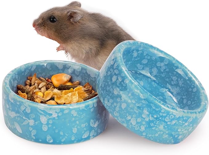 VanEnjoy 2 Pack Ceramic Guinea Pig Food Bowl Dotted Pattern Small Animal Feeding and Watering Supplies for Cage Cute Light Blue Hamster Water Dish for Chinchilla Ferret Bunny