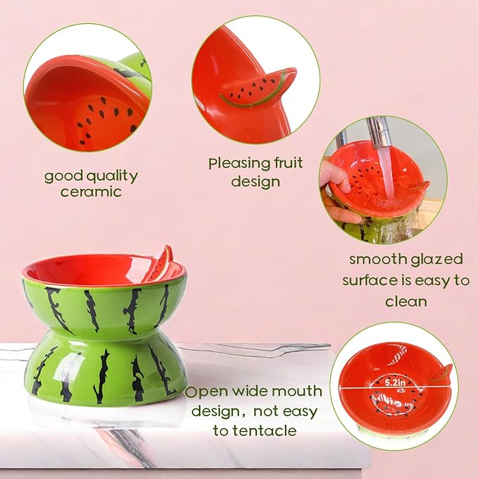 Hamiledyi Ceramic Raised Cat Bowl 5In Elevated Wide Cat Bowl for Food and Water Anti Vomiting Tilted Pet Feeder Dish for Indoor Cats and Small Dogs(Watermelon)