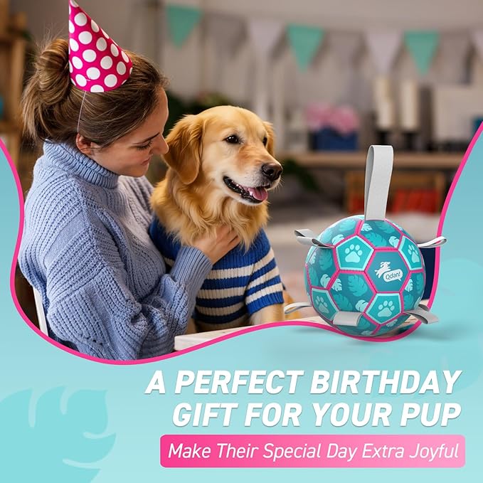 QDAN Dog Toys Soccer Ball, Tug of War Toy, Puppy Birthday Gifts, Water Toy, Durable Dog Balls for Medium Large Dogs, Lake Blue(8 inch)