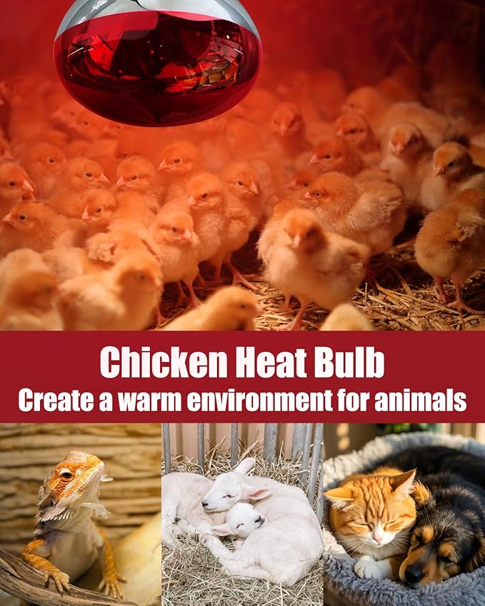 250W R40 Red Heat Lamp Bulbs, 8000 Hours Rated, Infrared Flood Light, Brooder Heating Lamp for Chickens, Reptiles, Pets, Bathroom, E26 Base - 6 Pack