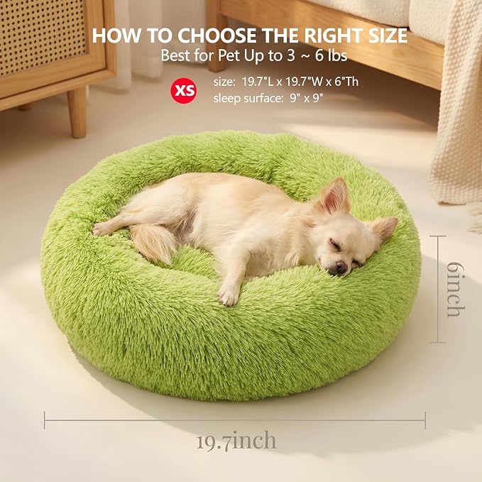 Calming Donut Dogs Beds for Small Dogs Washable,19inch Fluffy Round Puppy Bed for Puppies,Cats & Toy Breeds with Raised Rim,Fits up to 15 lbs Pets,Green