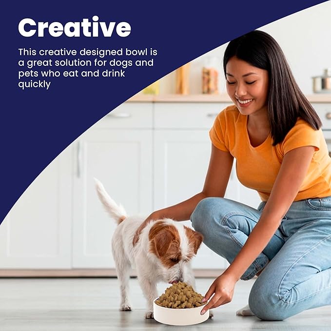 SPOT Standard Crock Dish - Heavy Duty, Non-Slip, Round Ceramic Food/Water Bowl for Pets, Ideal for Medium to Large Dogs or Multiple Animals, Dishwasher Safe - 9.5 in, 8 Cups, (64 Oz)(Pack of 6)