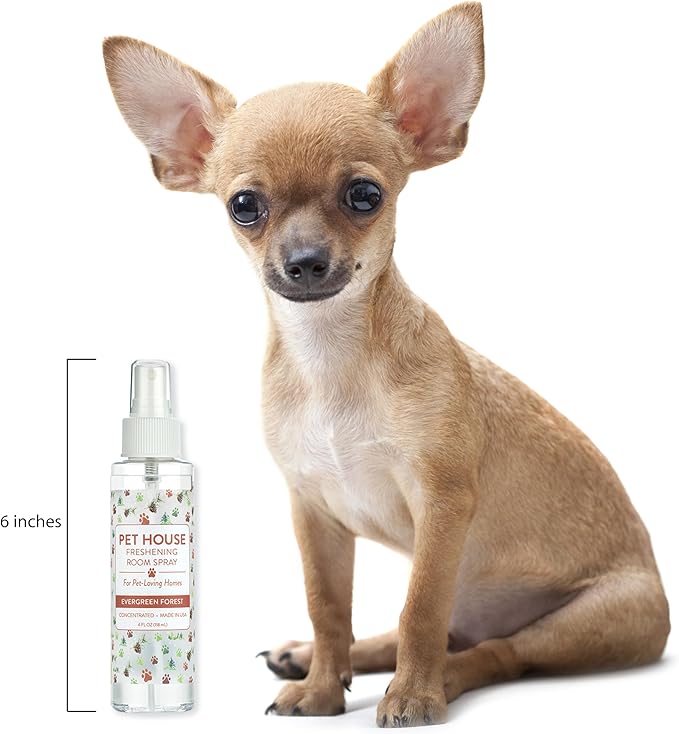 One Fur All Pet Air Freshener 4 OZ Concentrated Room Spray for Pet Odor, Evergreen Forest, Pack of 1