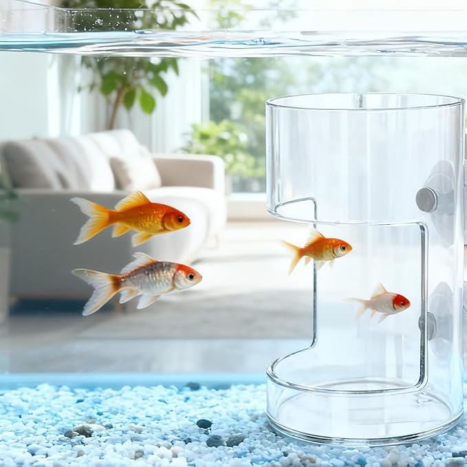 No Mess Aquarium Feeder, Acrylic Clear Fish Tank Feeder with Suction Cup, Preventing Food Scattering Feeding Tray Hollow Floating Sinking Shrimp Food Holders (Round,1)