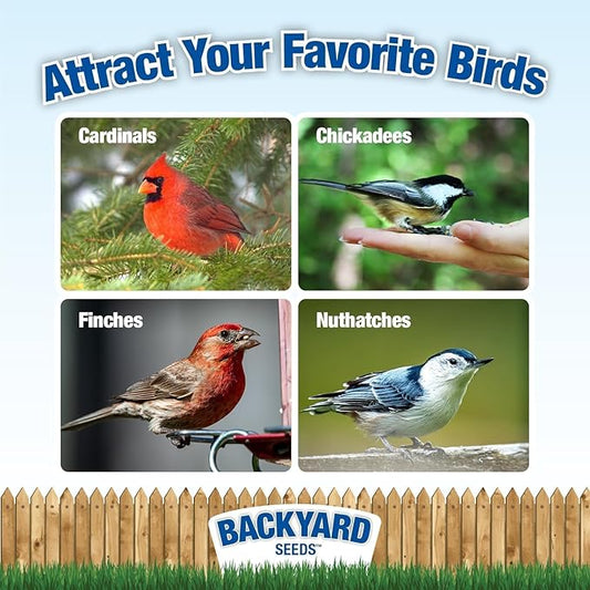 Backyard Seeds Berries 'n Nut Blend Bird Seed Mix 40lbs - Premium Seeds, Nuts & Cranberries, Two Medium Bags of Wild Bird Food