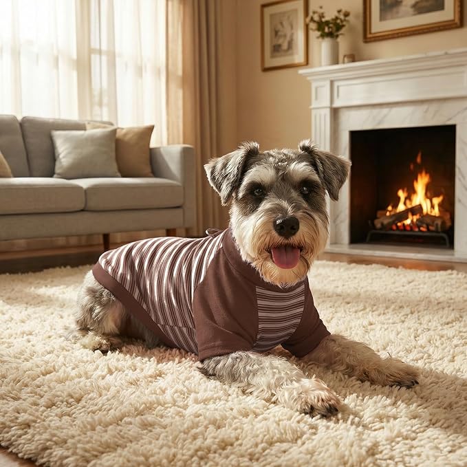 Pistha Dog Tshirt Striped Shirts for Dogs Clothes Stretchy Puppy T-Shirts with Metal Buckle for Small Medium Dog Boys Girls (Brown, Small)