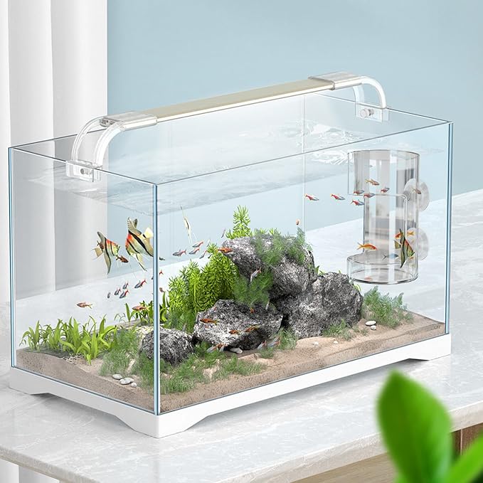 No Mess Aquarium Feeder, Acrylic Clear Fish Tank Feeder with Suction Cup, Preventing Food Scattering Feeding Tray Hollow Floating Sinking Shrimp Food Holders (Round,1)