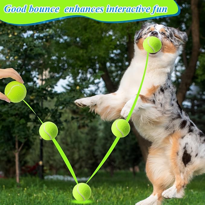 Skylety 100 Pcs 2.5 Inch Squeaky Tennis Balls Bulk for Dogs Bouncy Floatable Tennis Balls Dog Playing Supplies Training Interactive Fetch Toys Indoor and Outdoor for Small Medium Puppy (Green)
