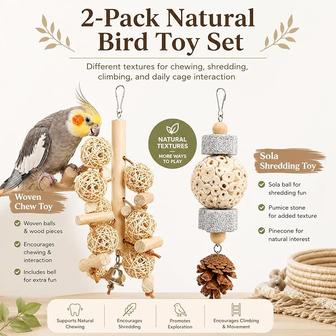 2-Pack Natural Bird Toy Set for Small to Medium Birds, Rattan Ball & Sola Hanging Toys with Pumice Stone, Enrichment Cage Accessories for Cockatiels, Budgies, Conures, Lovebirds