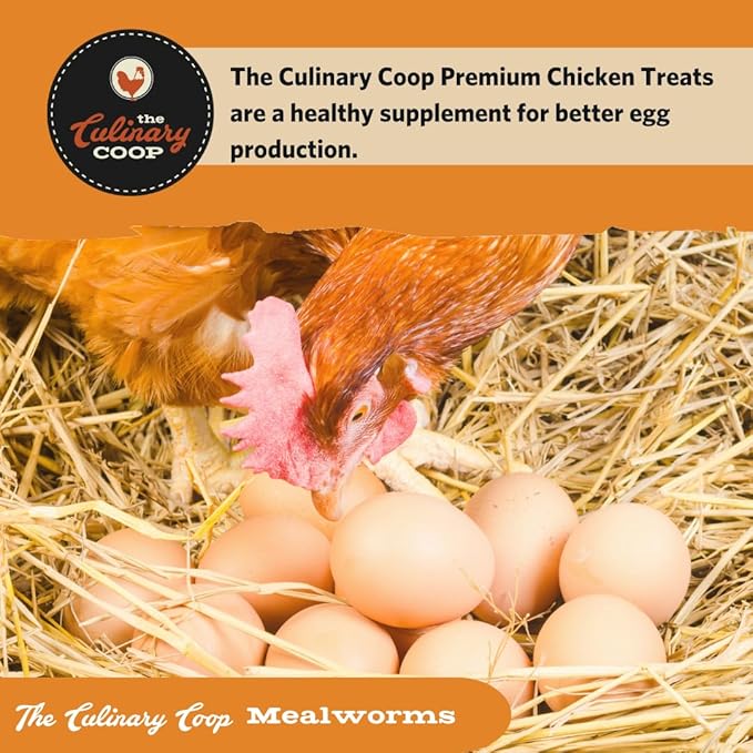 Fluker's Culinary Coop Premium Chicken Treats, Mealworms 3.5 oz, High Protein Worm, Nutritious Treat