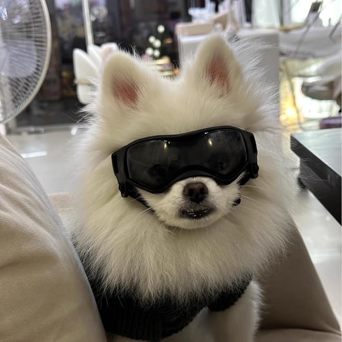 Dog Goggles Small Breed, XS Dog Sunglasses Chihuahua Glasses Anti-UV Eyes Protection for XSmall Pets Tiny Dogs Cats, Black XS
