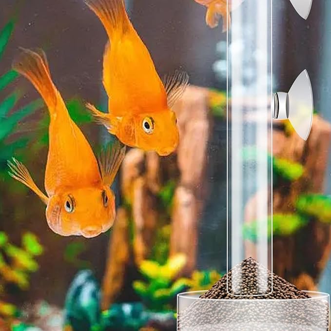 3 Pcs Shrimp Feeding Tube and Dish Set Clear Crystal Glass Shrimp Feeder Tube Tray Aquarium Feeder Tube Shrimp Feeding Dish Bowl Suction Cups for Fish Tank Aquarium Feeding Supplies Tools