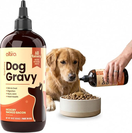 Everyday Dog Gravy - Wet Dog Food Topper for Dry Food with Glucosamine, MSM, Chicken Bone Broth, Omega 3, Probiotics and Taurine - Skin, Coat, Heart, Hip and Joint Support, 16 oz (Bacon