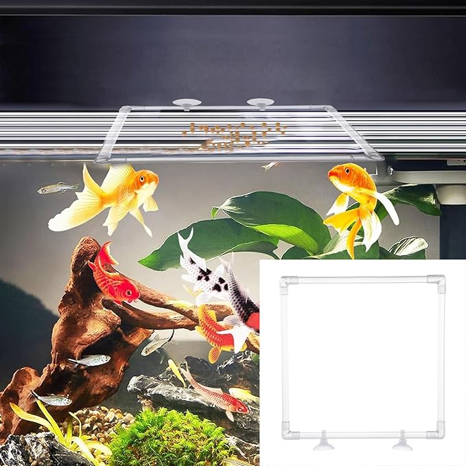 Antidrift Aquariums Food Dispenser Acrylic Feeding Corral Feeding Rings with Secure Suction Cup Attachment Easy Use Suction Cup Aquariums Feeder