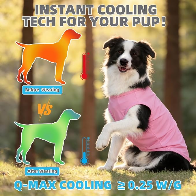 KOOLTAIL Cooling Sunblock Dog Clothes for Medium Dogs, 2 Pack UPF50+ UV & Insect Protection Quick Dry Dog T Shirts for Outdoor, Anti-Hair Loss Breathable Sleeveless Pet Vest Tank Tops, Pink&Purple, M