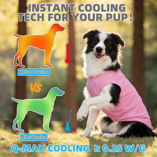 KOOLTAIL Cooling Sunblock Dog Clothes for Medium Dogs, 2 Pack UPF50+ UV & Insect Protection Quick Dry Dog T Shirts for Outdoor, Anti-Hair Loss Breathable Sleeveless Pet Vest Tank Tops, Pink&Purple, M