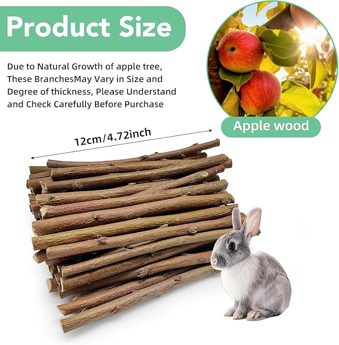 Jorewood 1 LB (16oz) Natural Apple Wood Chew Sticks for Rabbits, Hamsters, Chinchillas - Extra Hard Teeth Grinding Toy | Untreated, Safe & Long-Lasting Rodent Chews