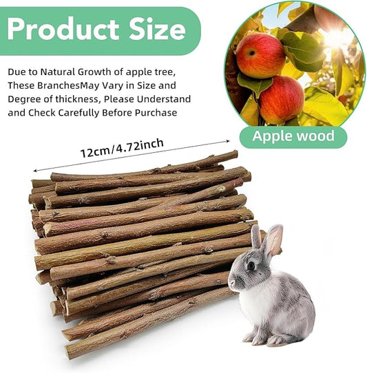 Jorewood 1 LB (16oz) Natural Apple Wood Chew Sticks for Rabbits, Hamsters, Chinchillas - Extra Hard Teeth Grinding Toy | Untreated, Safe & Long-Lasting Rodent Chews